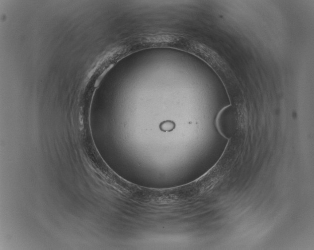 X0000072550731200607281648