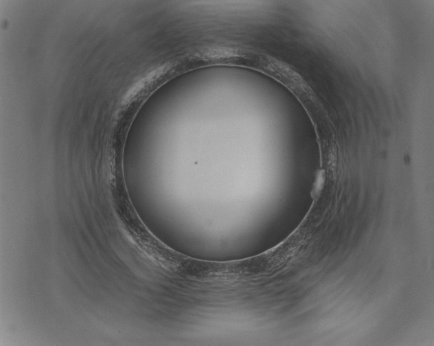 X0000072550732200607281648