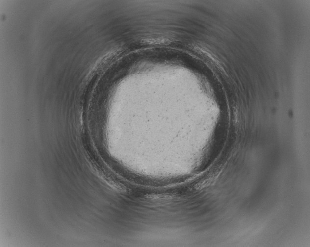 X0000072550733200607281648