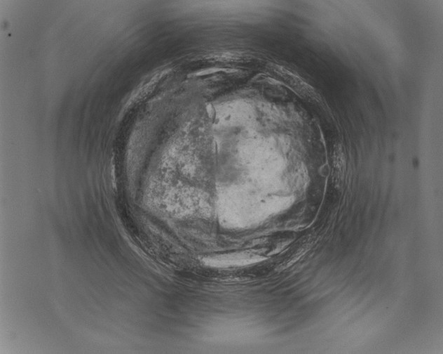 X0000072550734200607281648