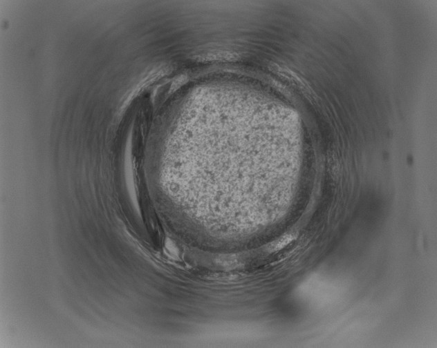 X0000072550735200607281648