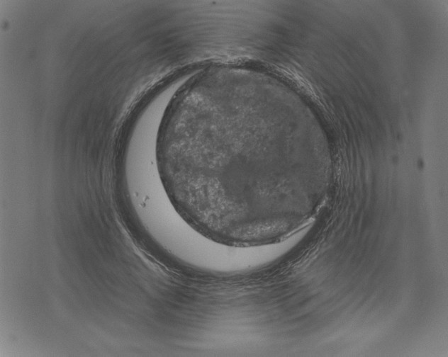 X0000072550736200607281648