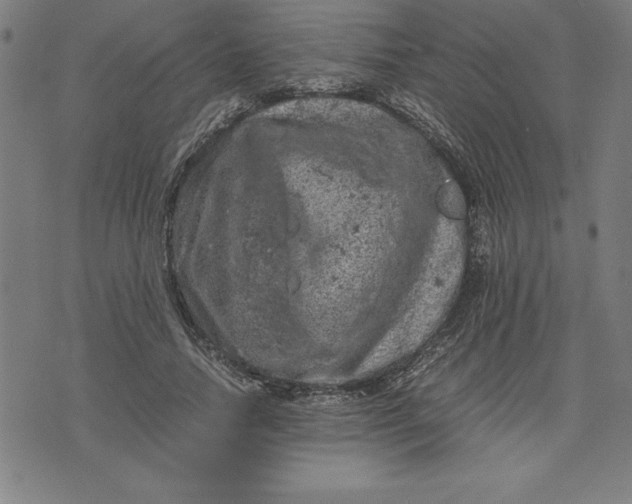 X0000072550738200607281648