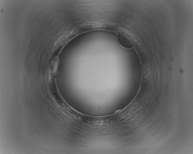 X0000072550740200607281648