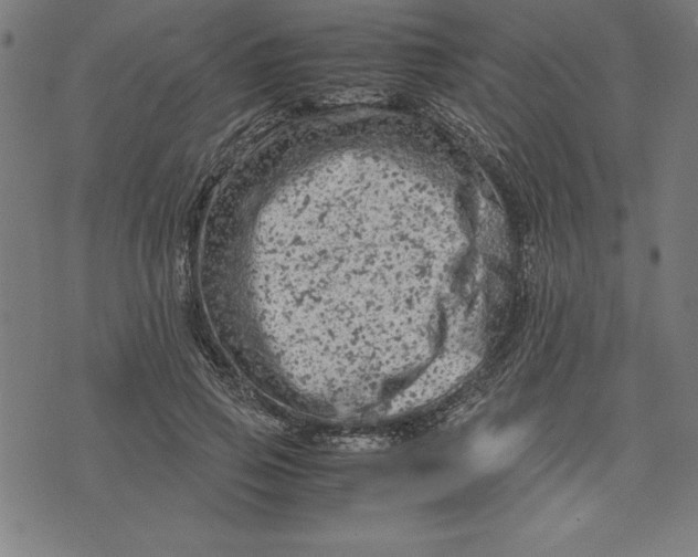 X0000072550741200607281648