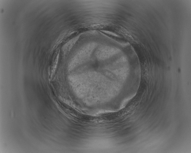 X0000072550742200607281648