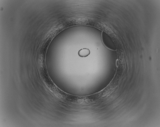 X0000072550744200607281648