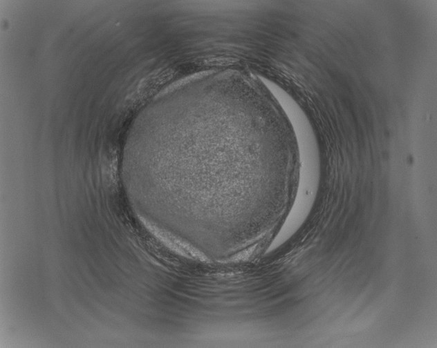 X0000072550745200607281648