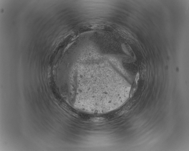 X0000072550748200607281648