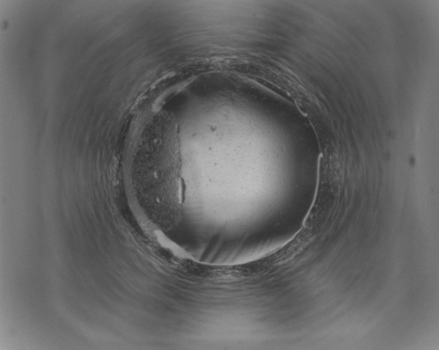 X0000072550750200607281648