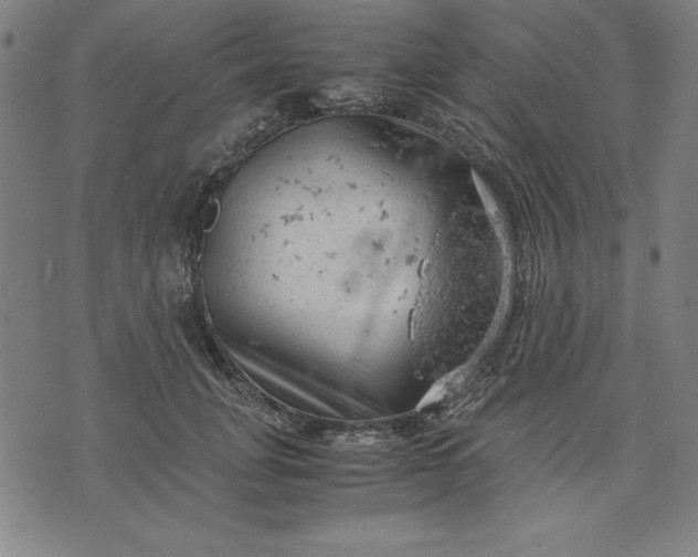 X0000072550751200607281648