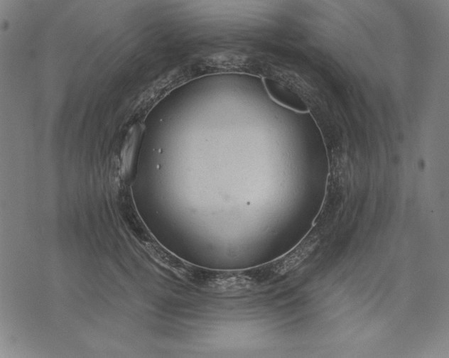 X0000072550752200607281648