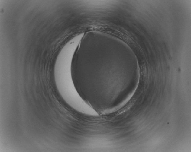 X0000072550754200607281648