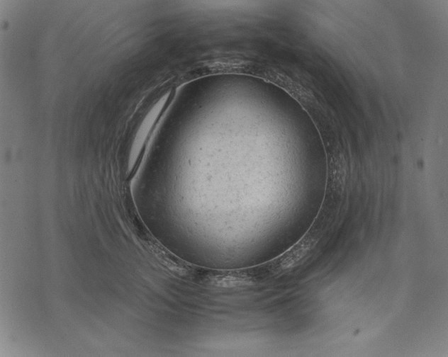 X0000072550755200607281648