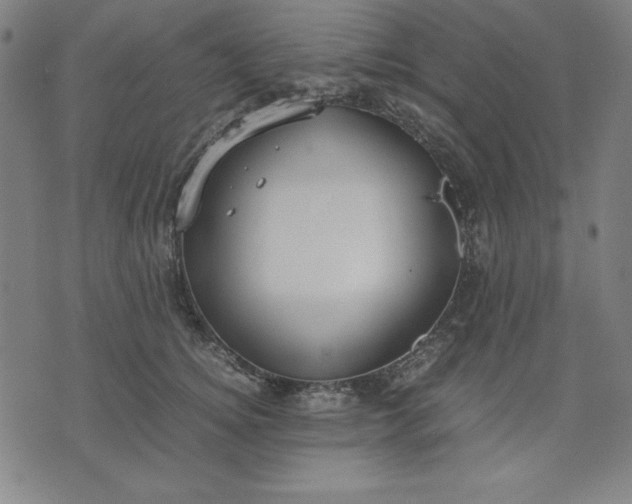 X0000072550756200607281648