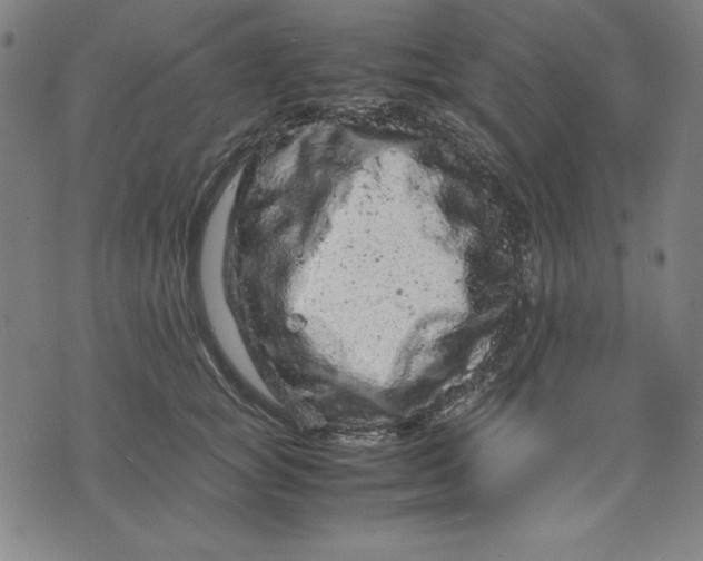 X0000072550757200607281648