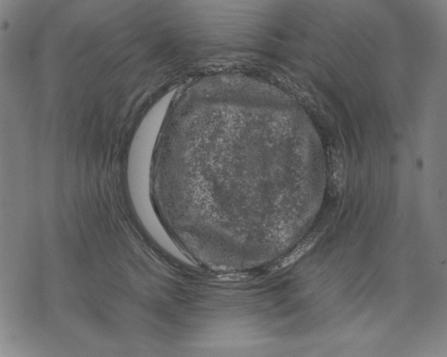 X0000072550758200607281648