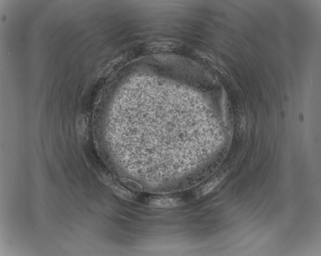 X0000072550759200607281648