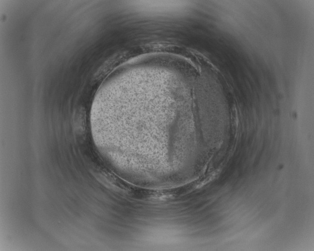 X0000072550760200607281648