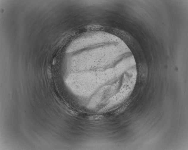 X0000072550761200607281648