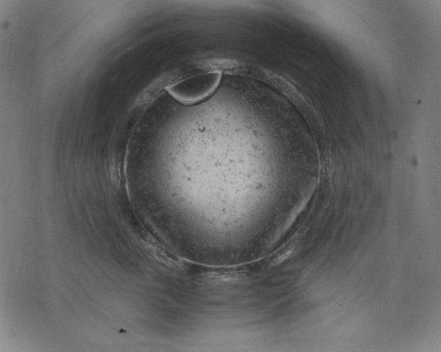 X0000072550763200607281648