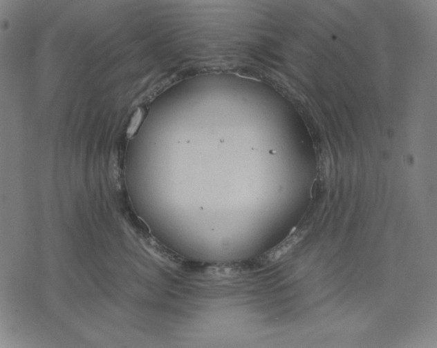 X0000072550764200607281648