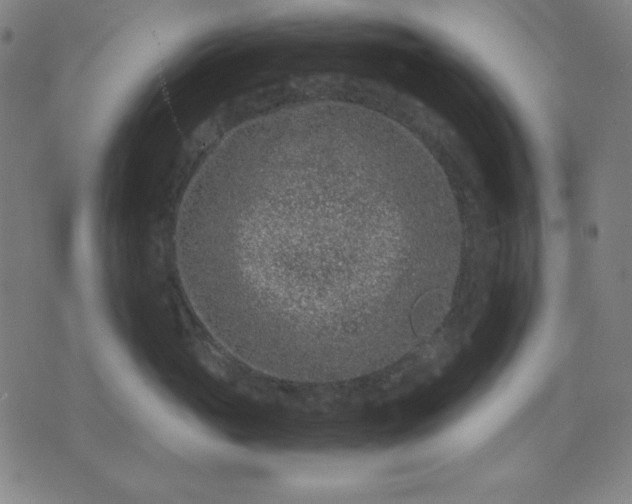 X0000072550765200607281648