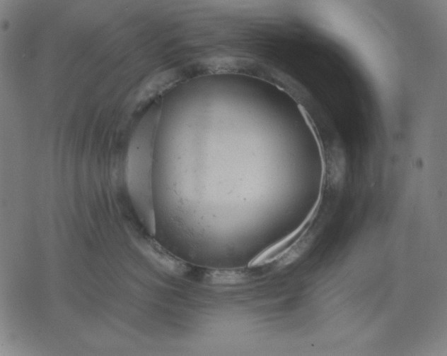 X0000072550766200607281648