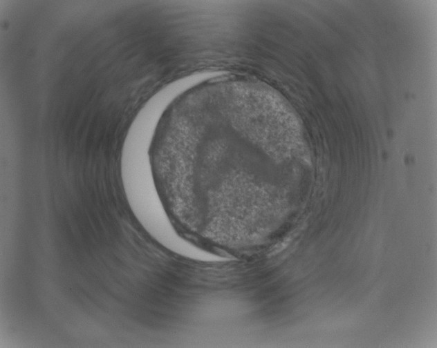 X0000072550768200607281648