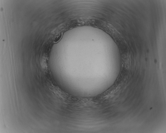 X0000072550770200607281648