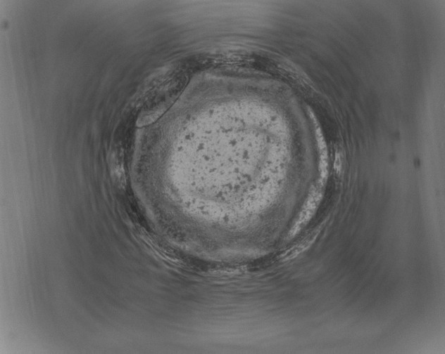 X0000072550771200607281648