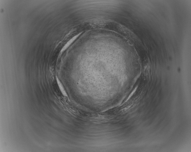 X0000072550772200607281648