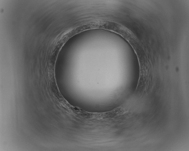 X0000072550773200607281648