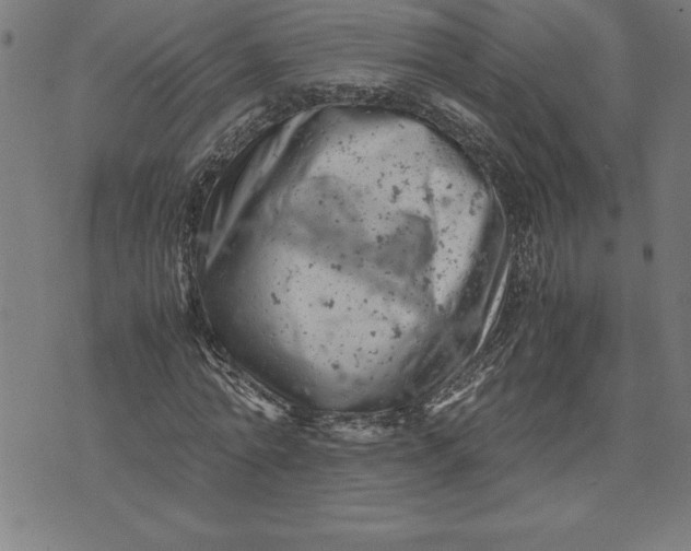 X0000072550774200607281648