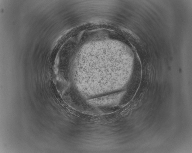 X0000072550776200607281648