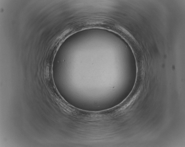 X0000072550777200607281648