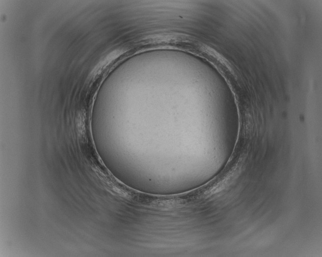 X0000072550778200607281648