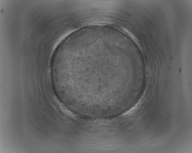 X0000072550779200607281648