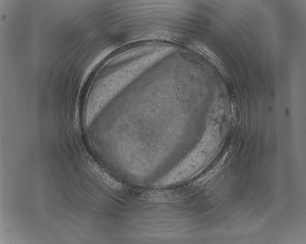 X0000072550780200607281648