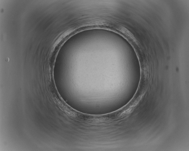 X0000072550781200607281647