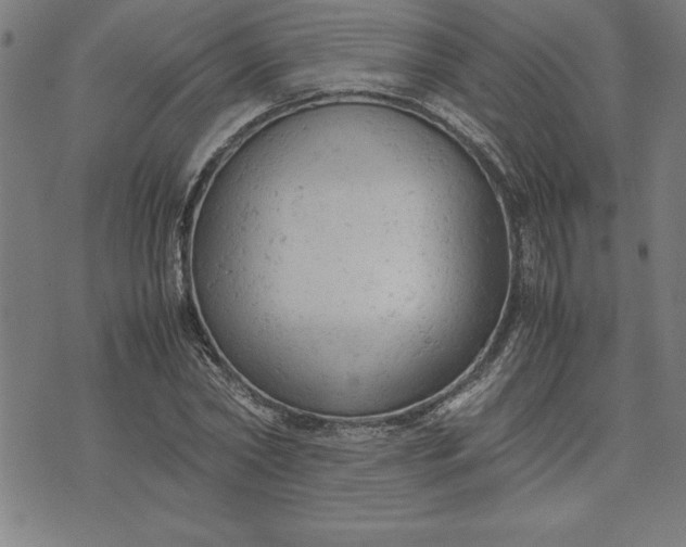 X0000072550782200607281647