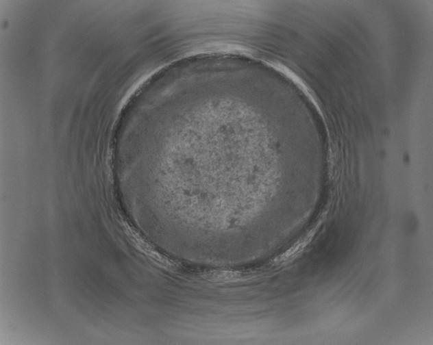 X0000072550783200607281647