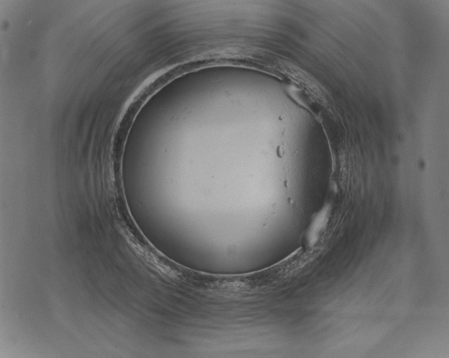 X0000072550784200607281647