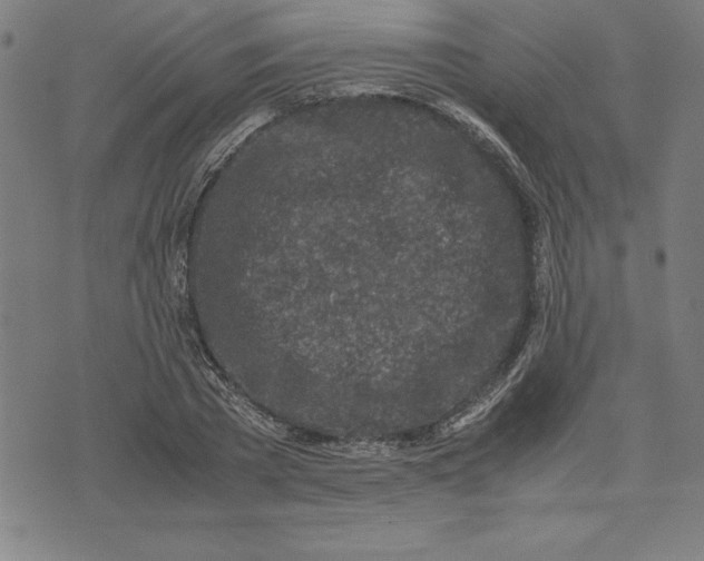 X0000072550785200607281647