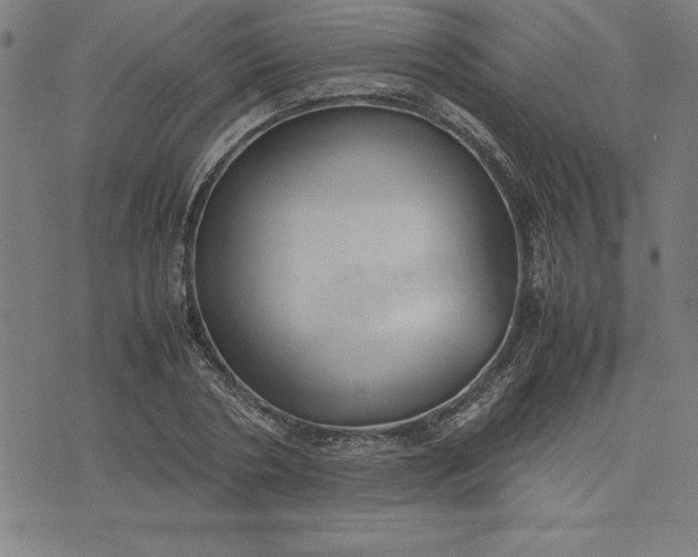 X0000072550786200607281647