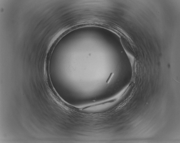 X0000072550788200607281647