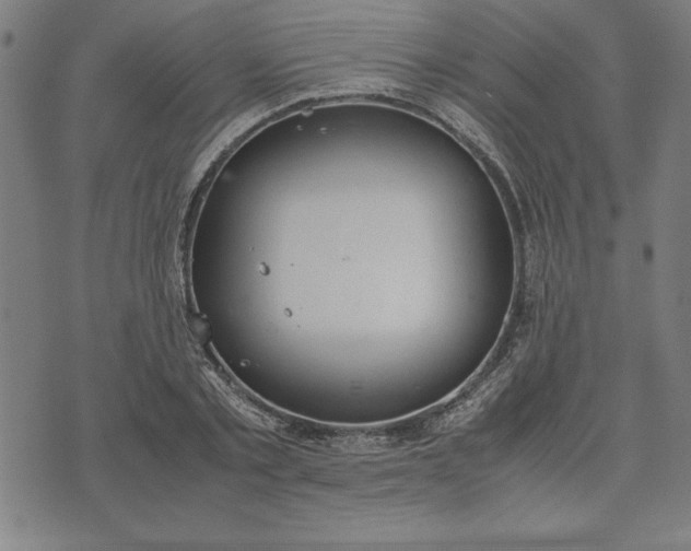 X0000072550789200607281647