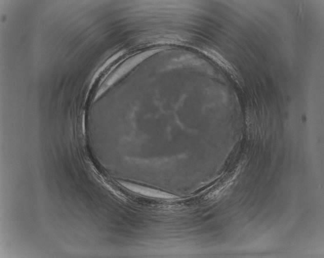 X0000072550790200607281647