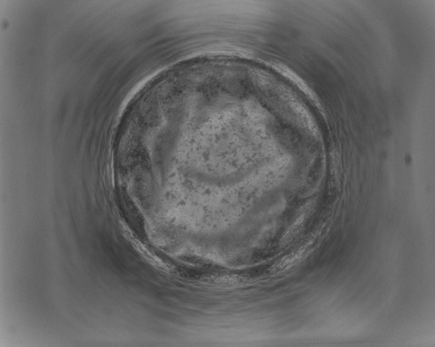 X0000072550791200607281647