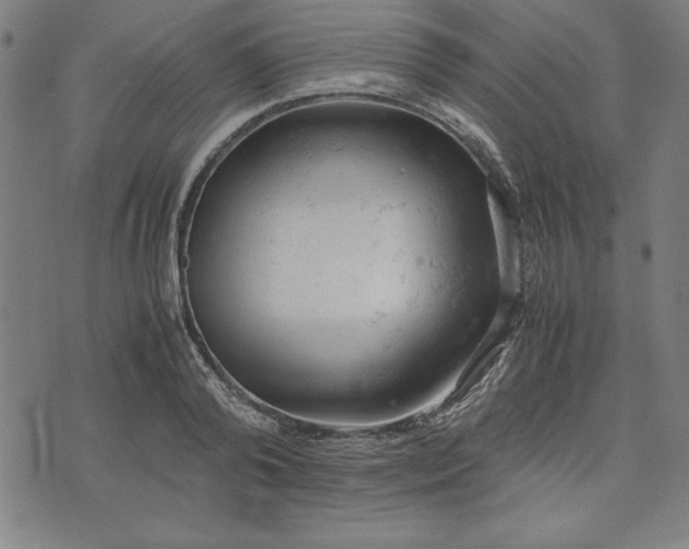 X0000072550792200607281647